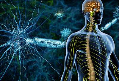 Central Nervous System Diseases