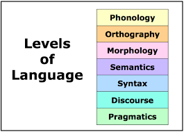 Levels of Literacy: Stages and their Characteristics